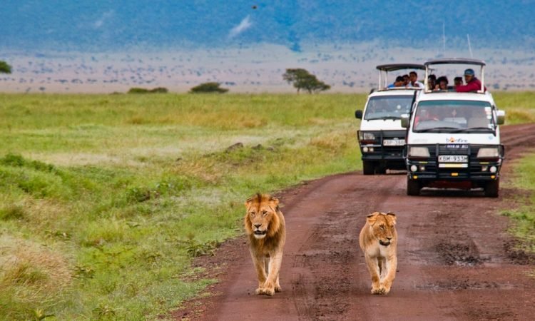 masai-mara-reserve-750x450[1]